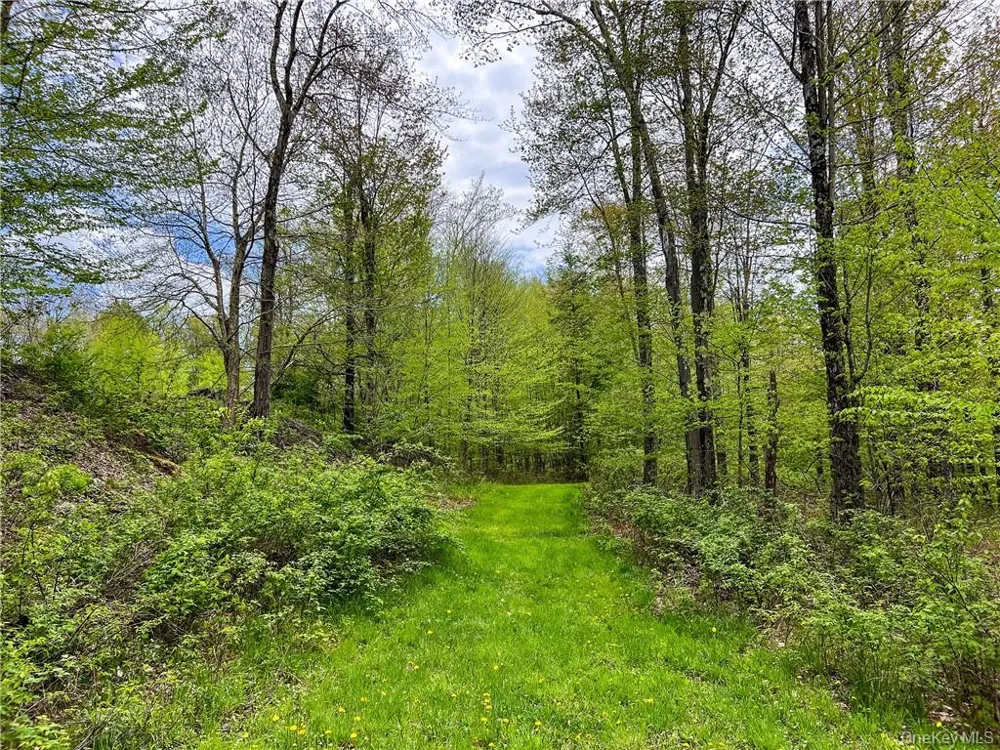 0 Rt-28 Andes, NY 13731