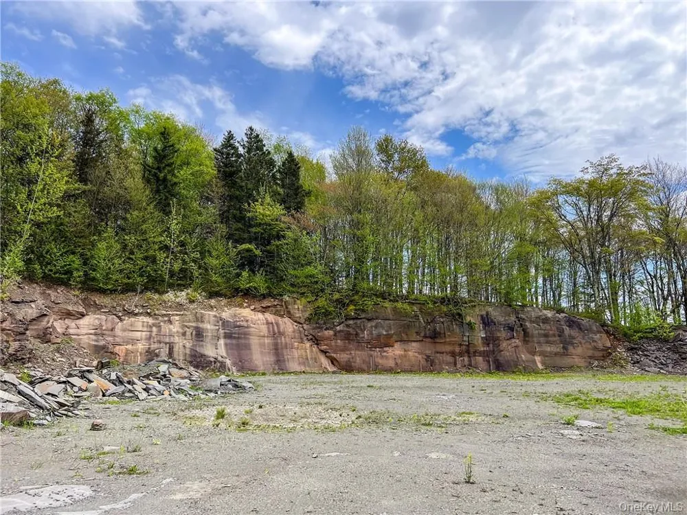 0 Rt-28 Andes, NY 13731