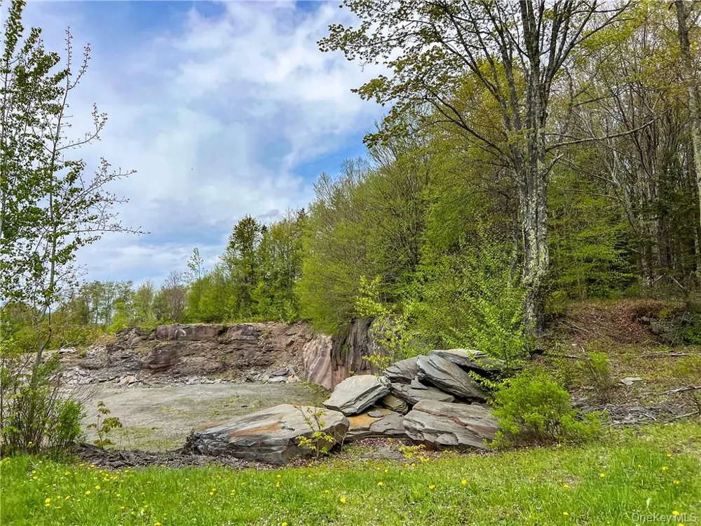 0 Rt-28 Andes, NY 13731