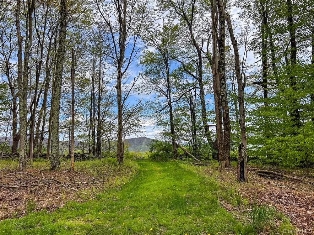 0 Rt-28 Andes, NY 13731