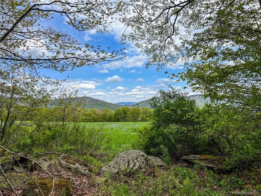 0 Rt-28 Andes, NY 13731