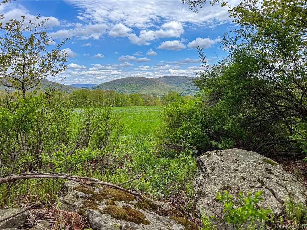 0 Rt-28 Andes, NY 13731