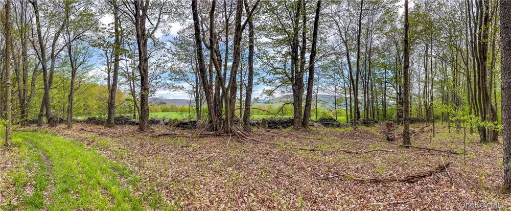 0 Rt-28 Andes, NY 13731