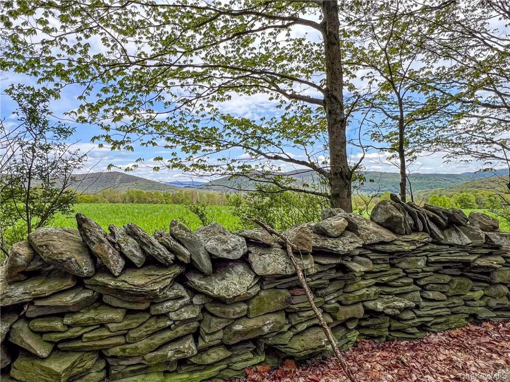 0 Rt-28 Andes, NY 13731