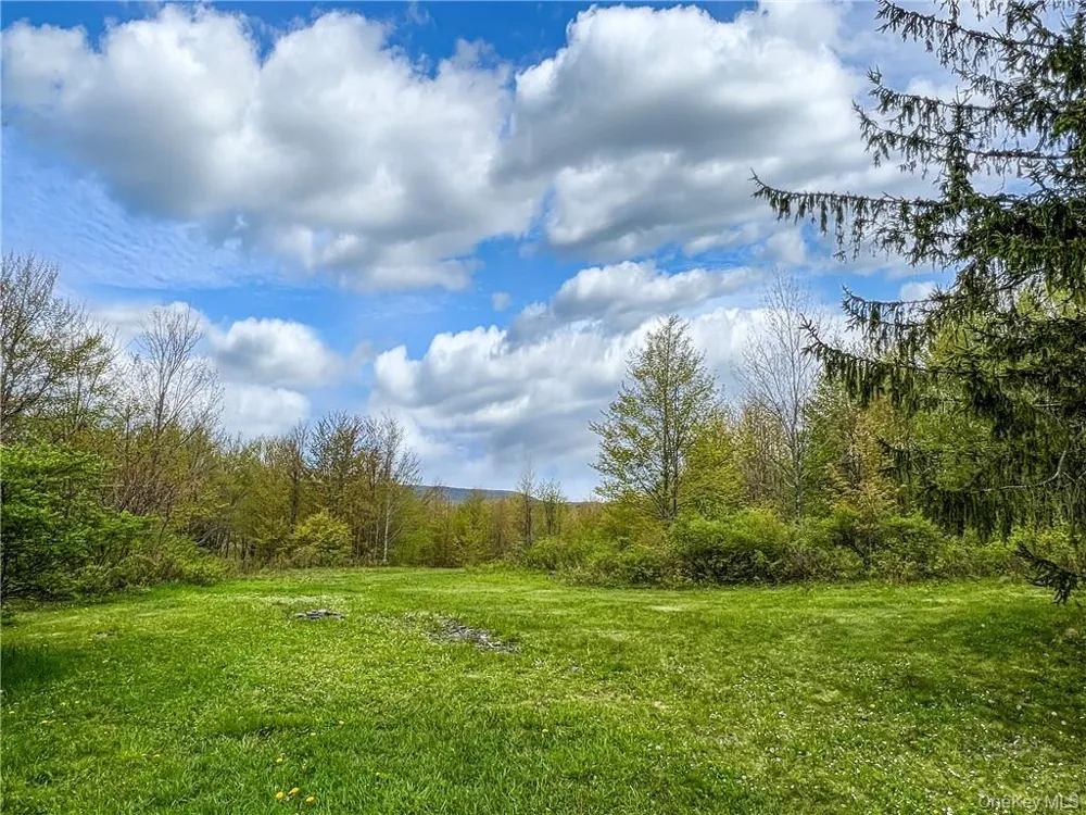 0 Rt-28 Andes, NY 13731