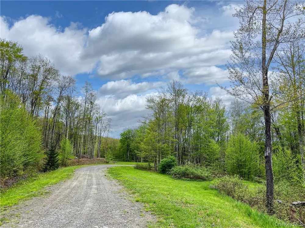 0 Rt-28 Andes, NY 13731