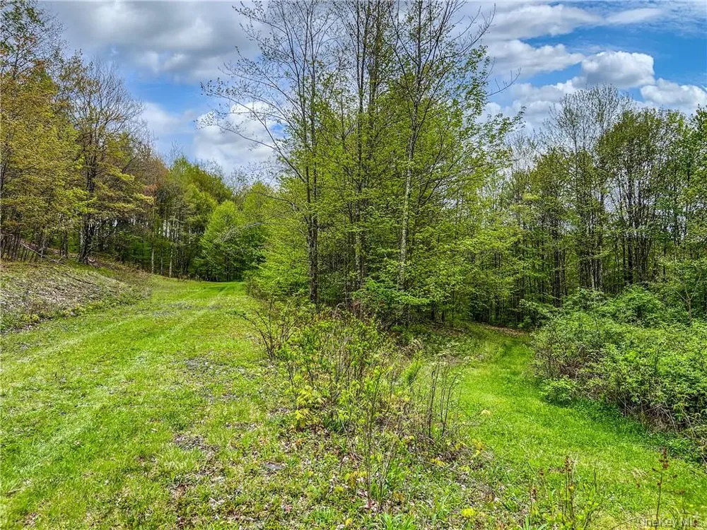 0 Rt-28 Andes, NY 13731