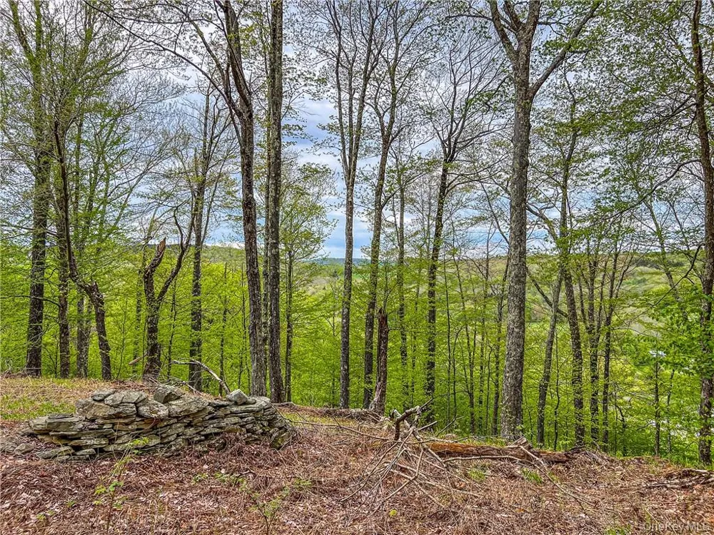 0 Rt-28 Andes, NY 13731