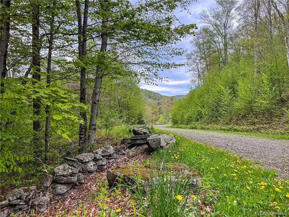 0 Rt-28 Andes, NY 13731