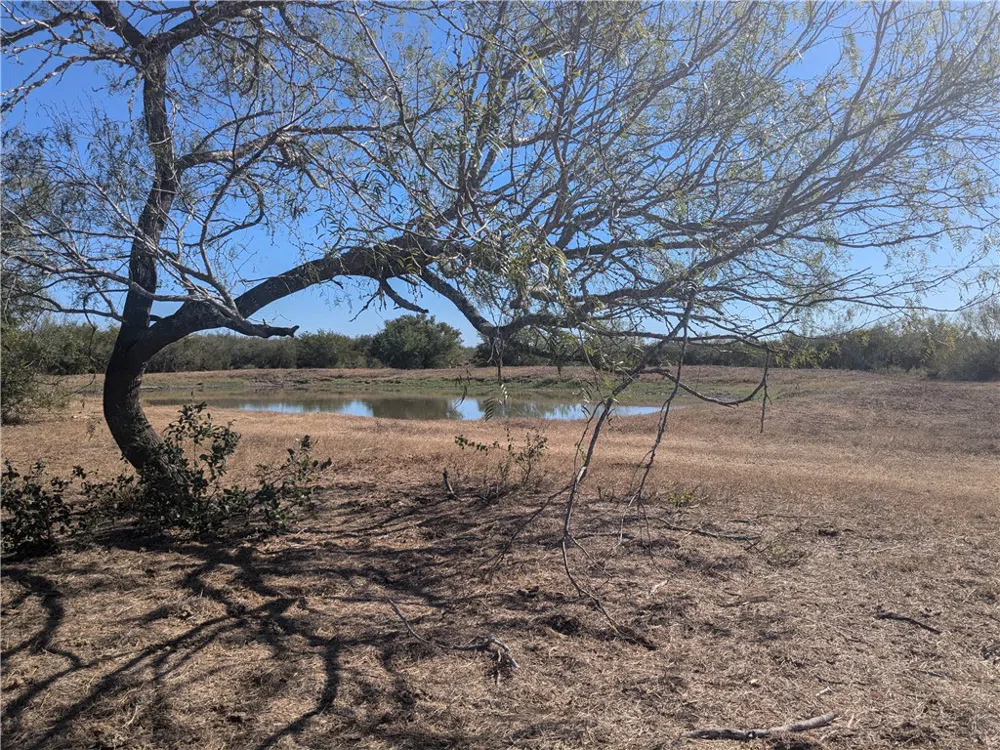 CR 145 San Diego, TX 78384