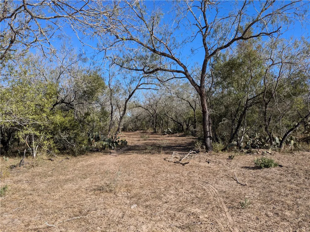 CR 145 San Diego, TX 78384
