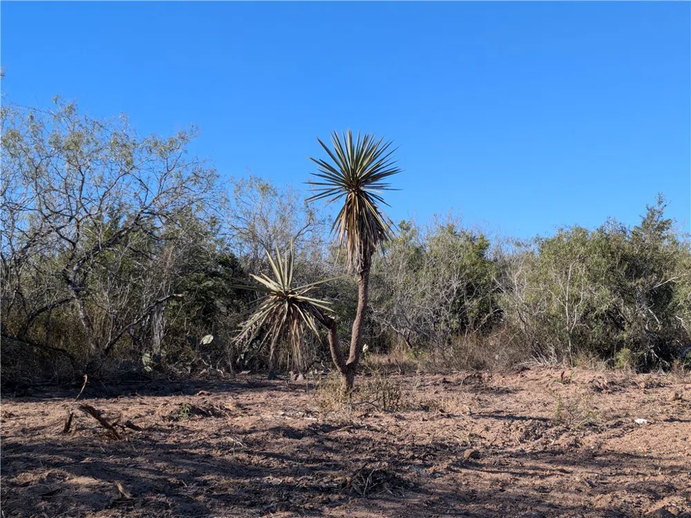 CR 145 San Diego, TX 78384