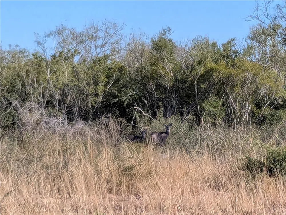 CR 145 San Diego, TX 78384