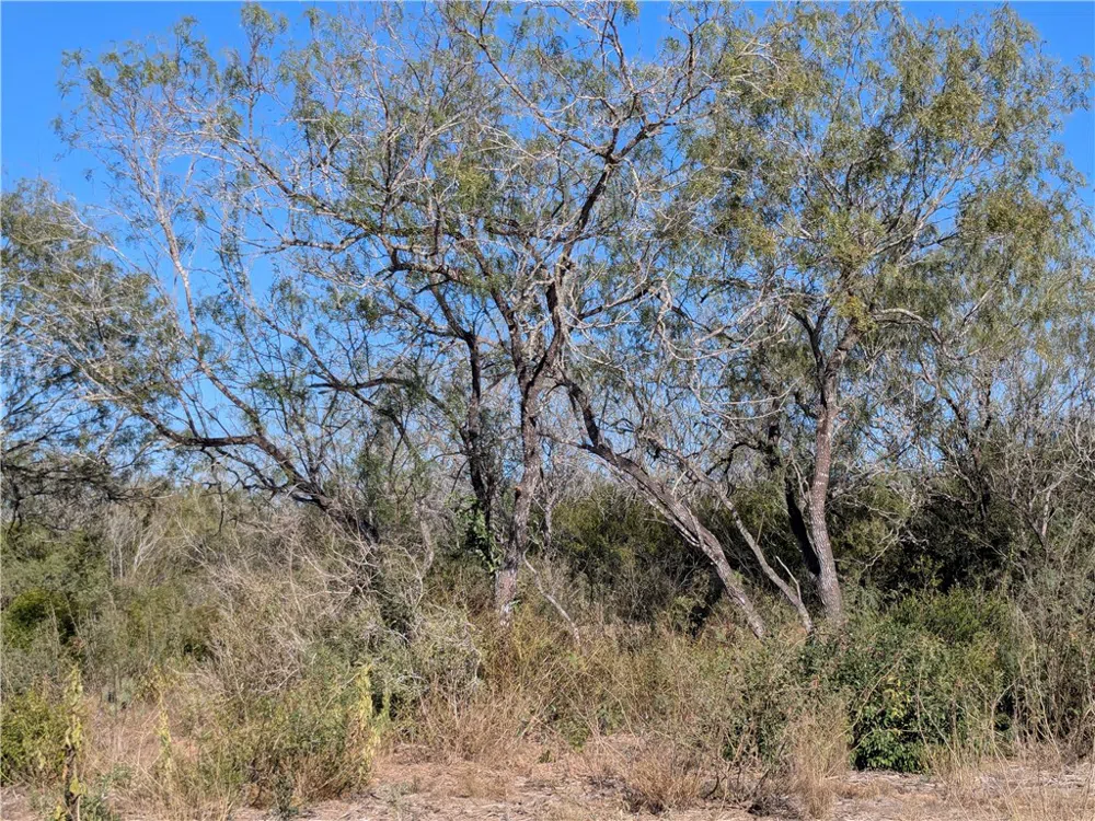 CR 145 San Diego, TX 78384