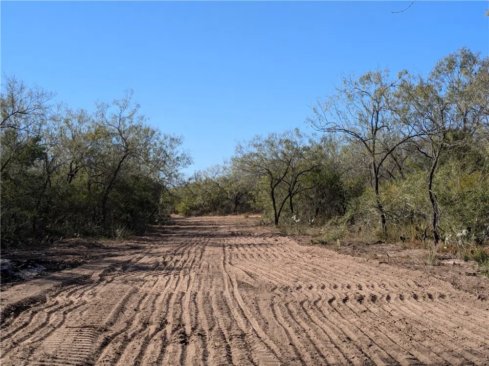 CR 145 San Diego, TX 78384