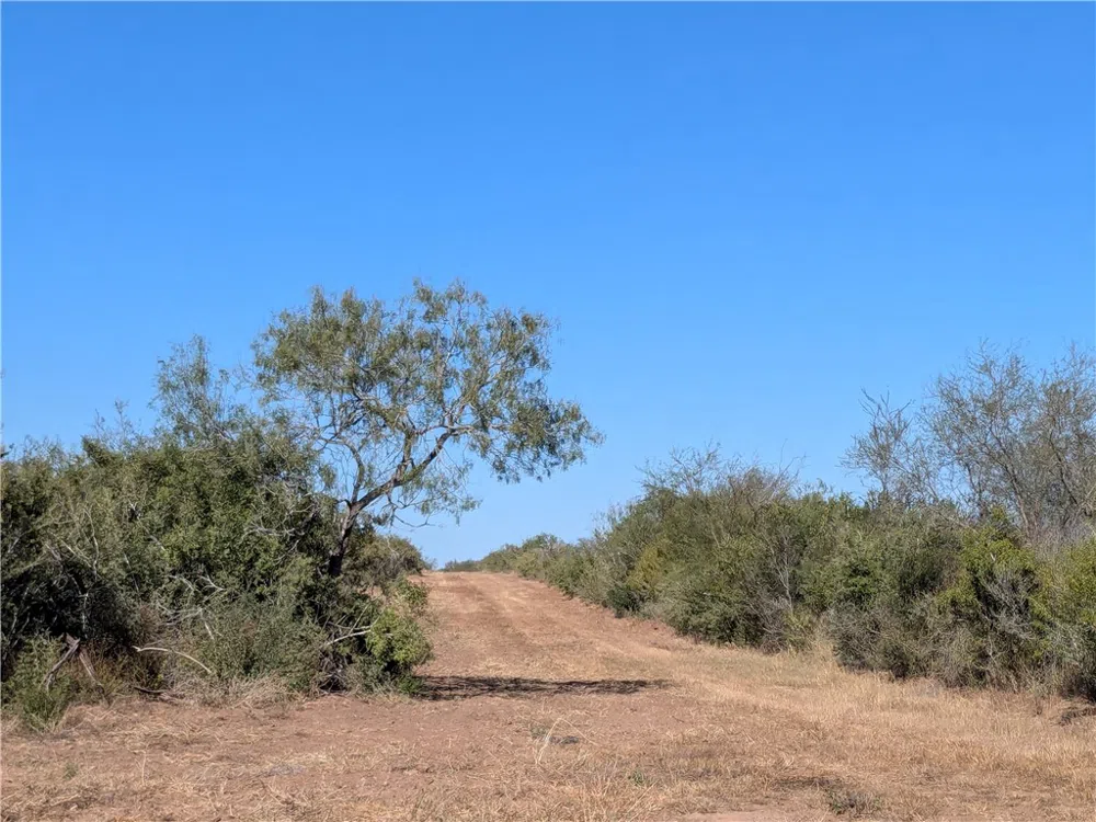 CR 145 San Diego, TX 78384