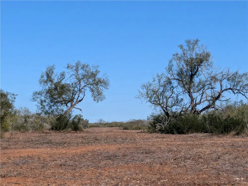 CR 145 San Diego, TX 78384