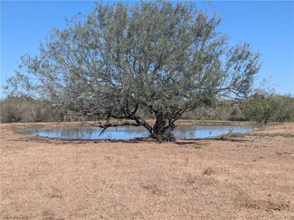 CR 145 San Diego, TX 78384