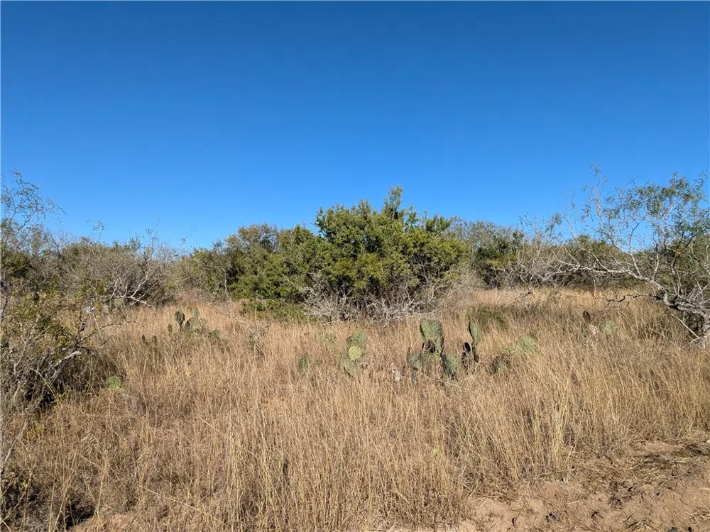 CR 145 San Diego, TX 78384