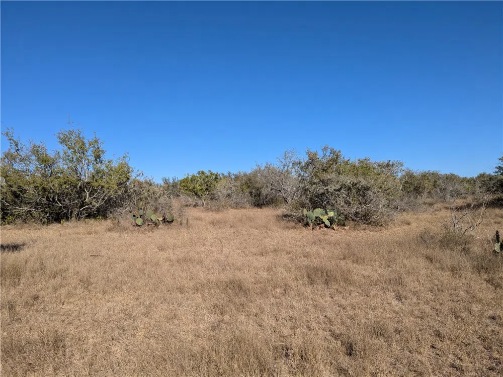 CR 145 San Diego, TX 78384