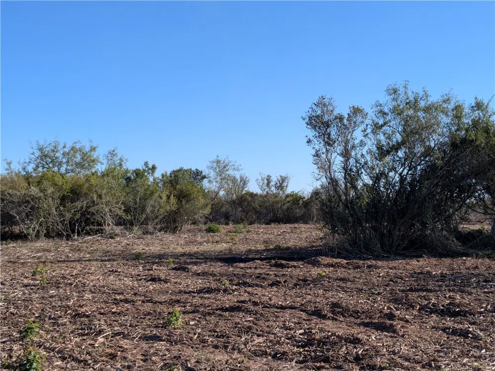 CR 145 San Diego, TX 78384