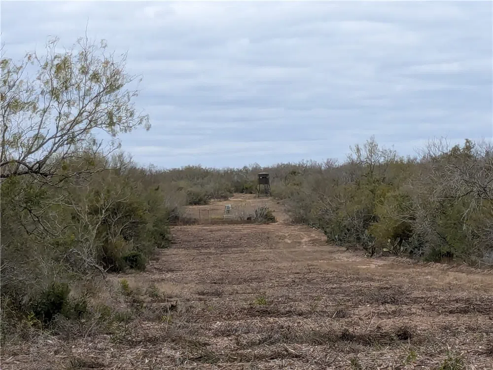 CR 145 San Diego, TX 78384