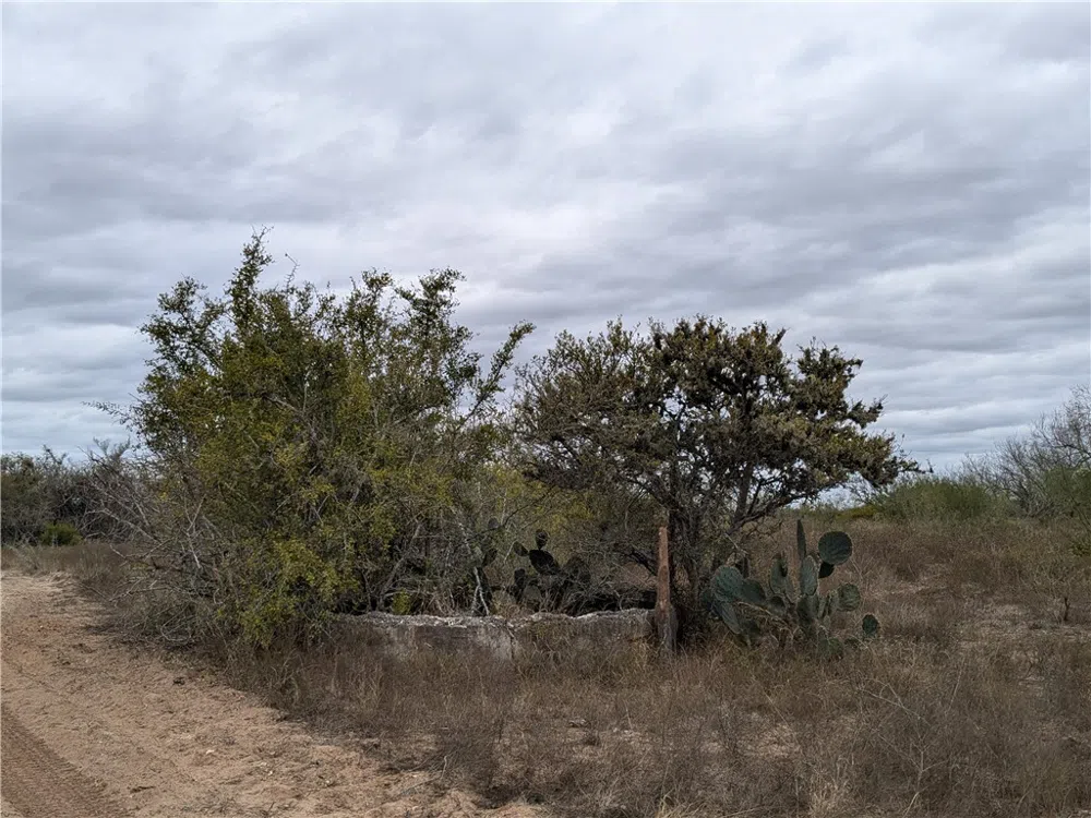 CR 145 San Diego, TX 78384