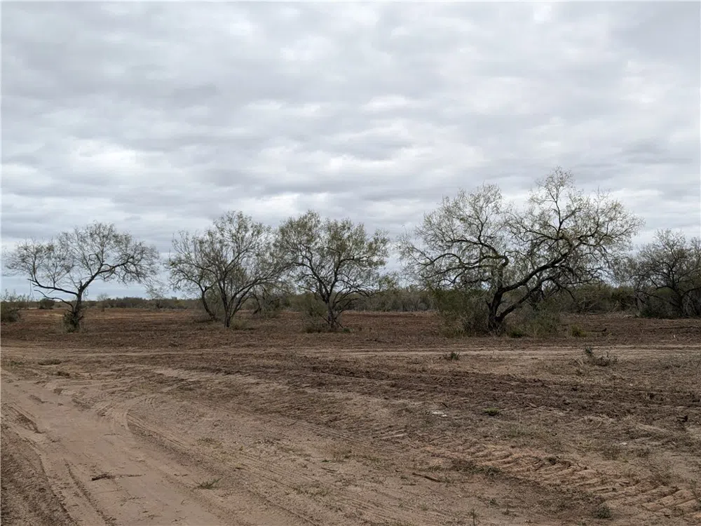 CR 145 San Diego, TX 78384