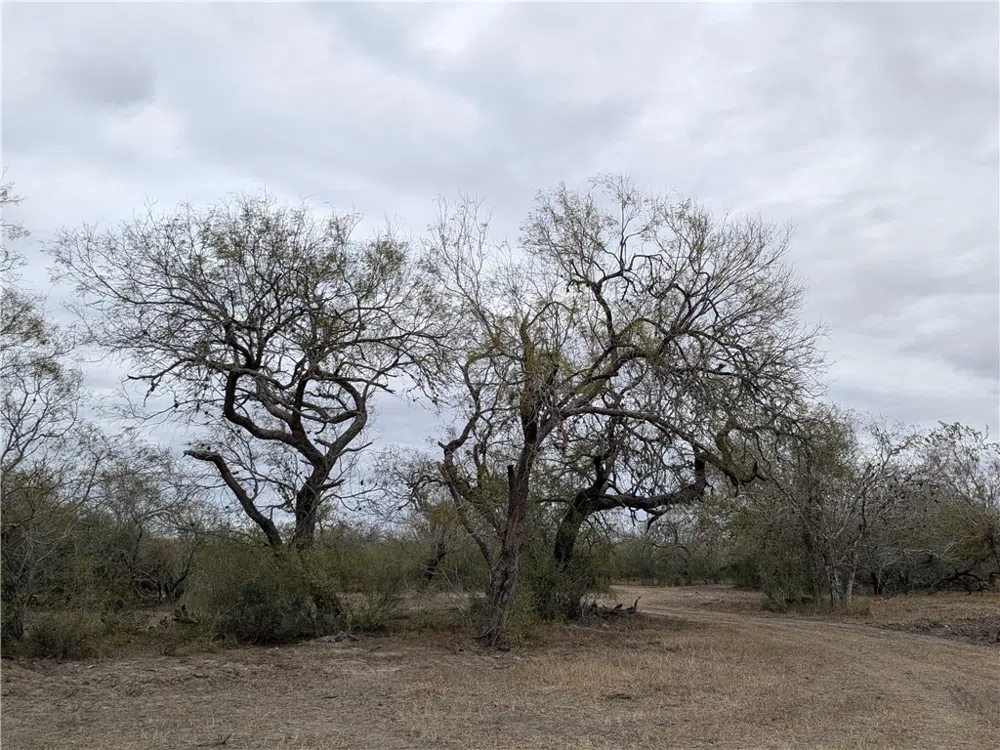 CR 145 San Diego, TX 78384
