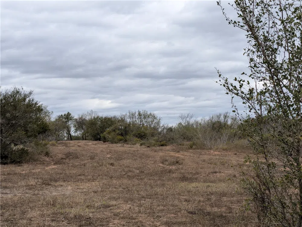 CR 145 San Diego, TX 78384