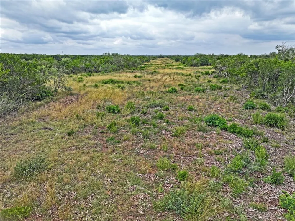 CR 145 San Diego, TX 78384