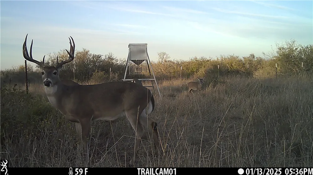 CR 145 San Diego, TX 78384