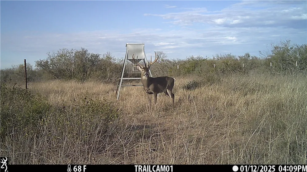CR 145 San Diego, TX 78384