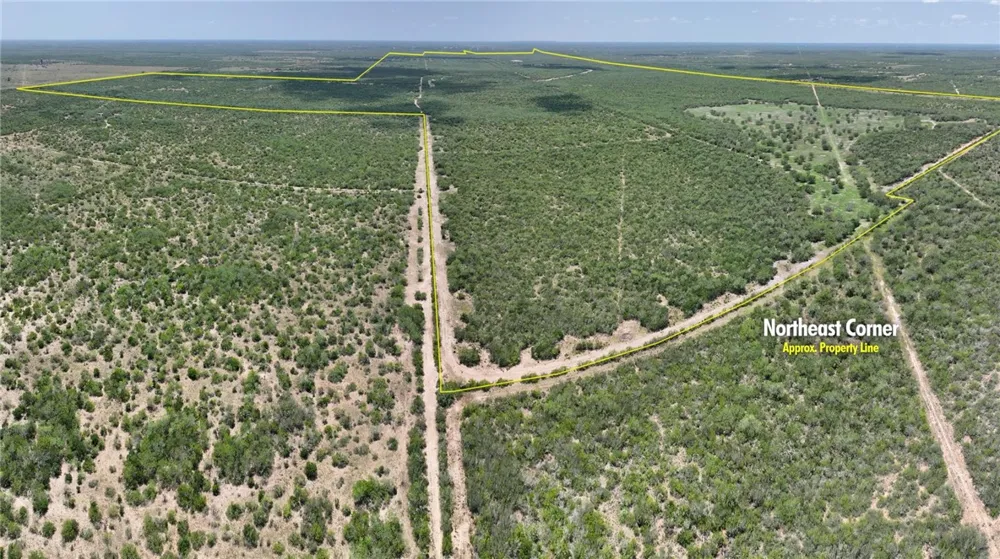 CR 145 San Diego, TX 78384
