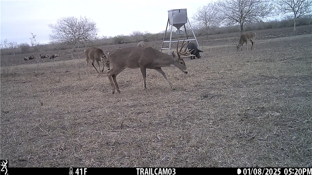 CR 145 San Diego, TX 78384
