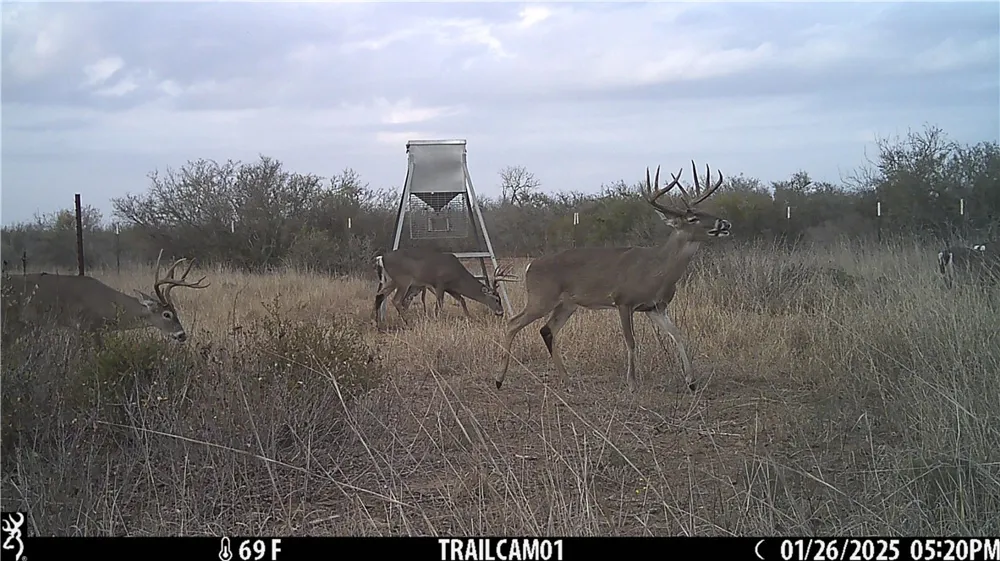 CR 145 San Diego, TX 78384