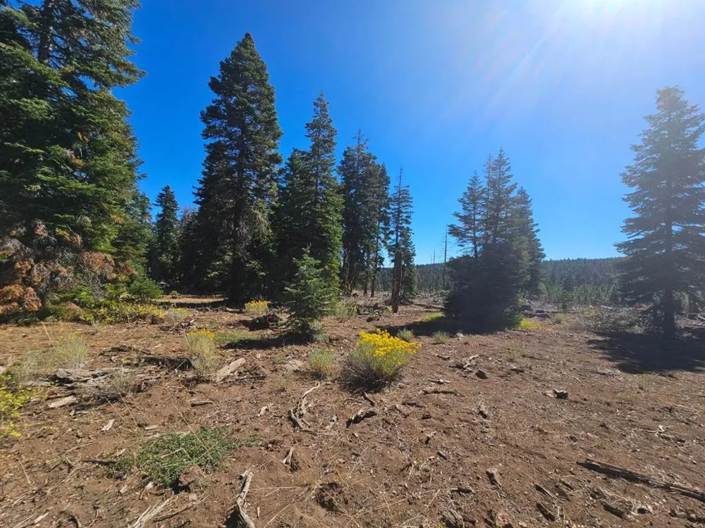 Prospect Road Alturas, CA 96101