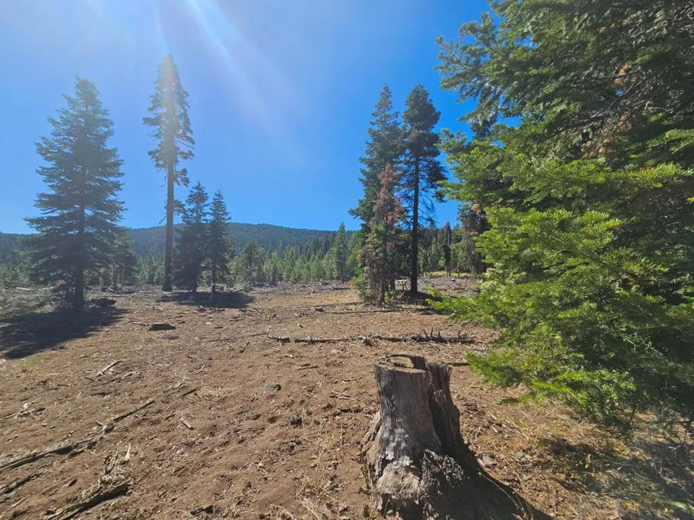 Prospect Road Alturas, CA 96101