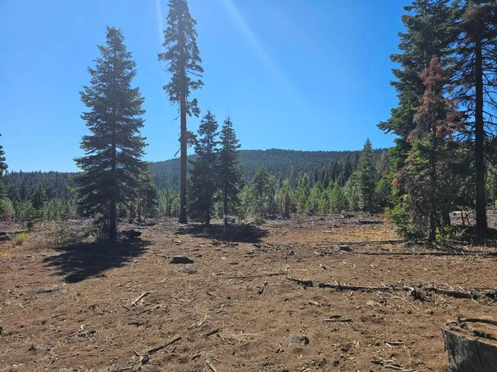 Prospect Road Alturas, CA 96101