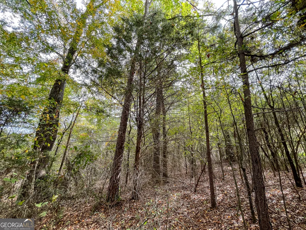 0 Prior Station RD Cedartown, GA 30125