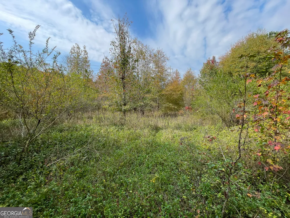 0 Prior Station RD Cedartown, GA 30125