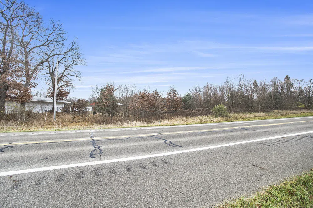 V/L E Michigan Avenue Albion, MI 49224