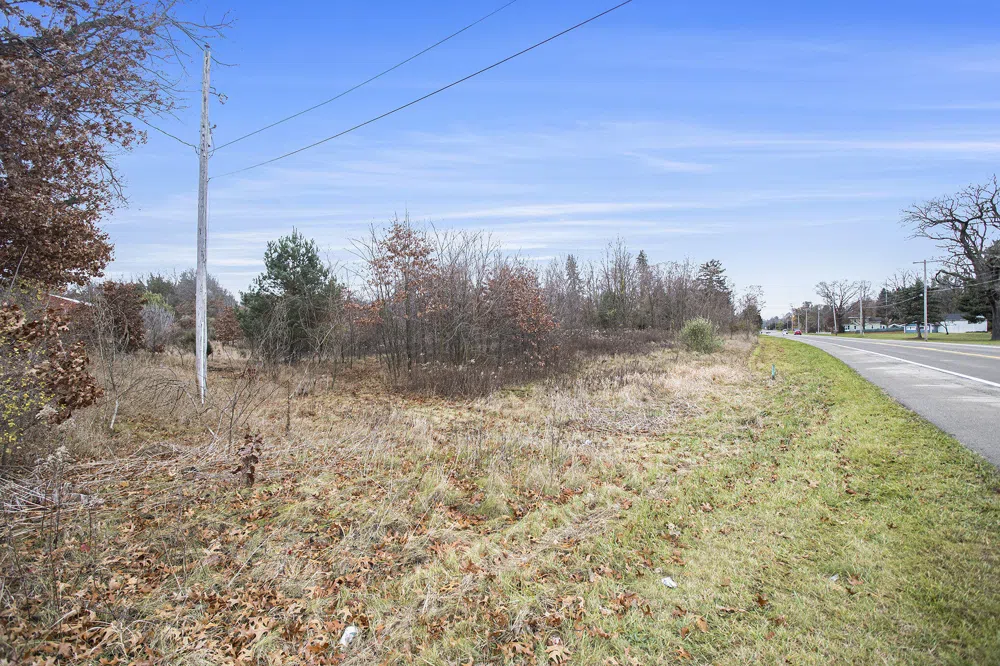 V/L E Michigan Avenue Albion, MI 49224