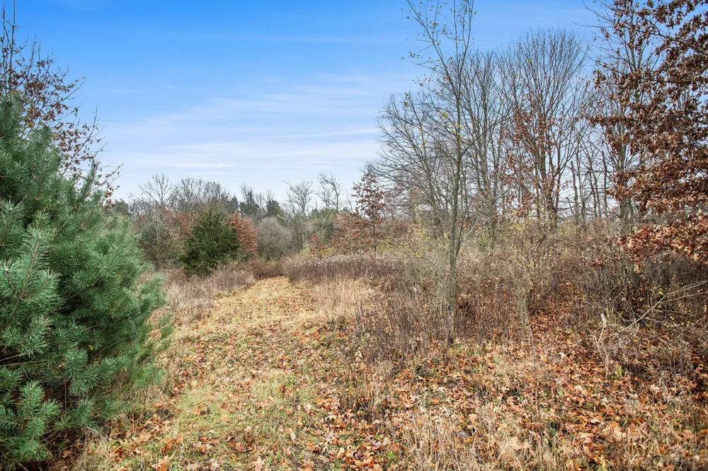 V/L E Michigan Avenue Albion, MI 49224