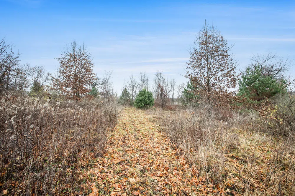 V/L E Michigan Avenue Albion, MI 49224
