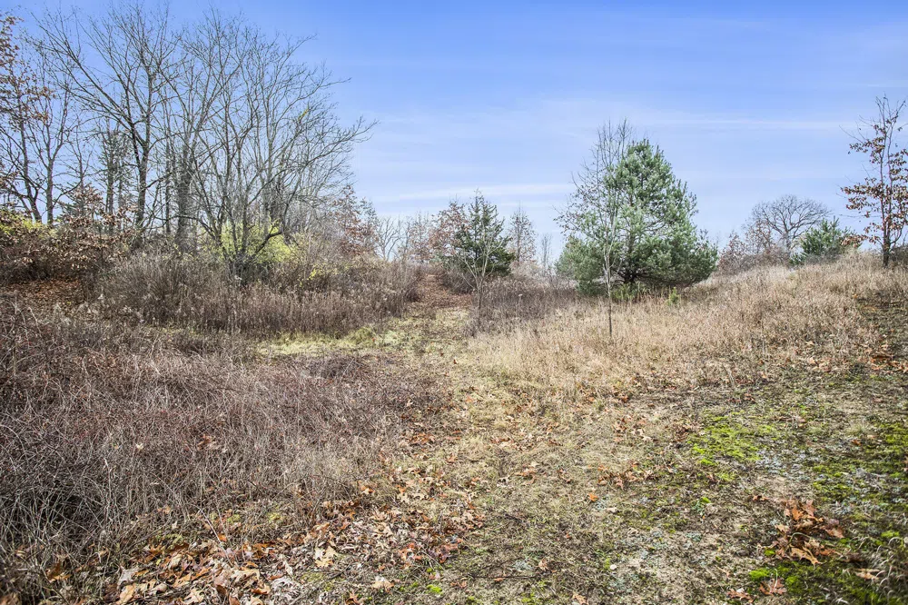 V/L E Michigan Avenue Albion, MI 49224