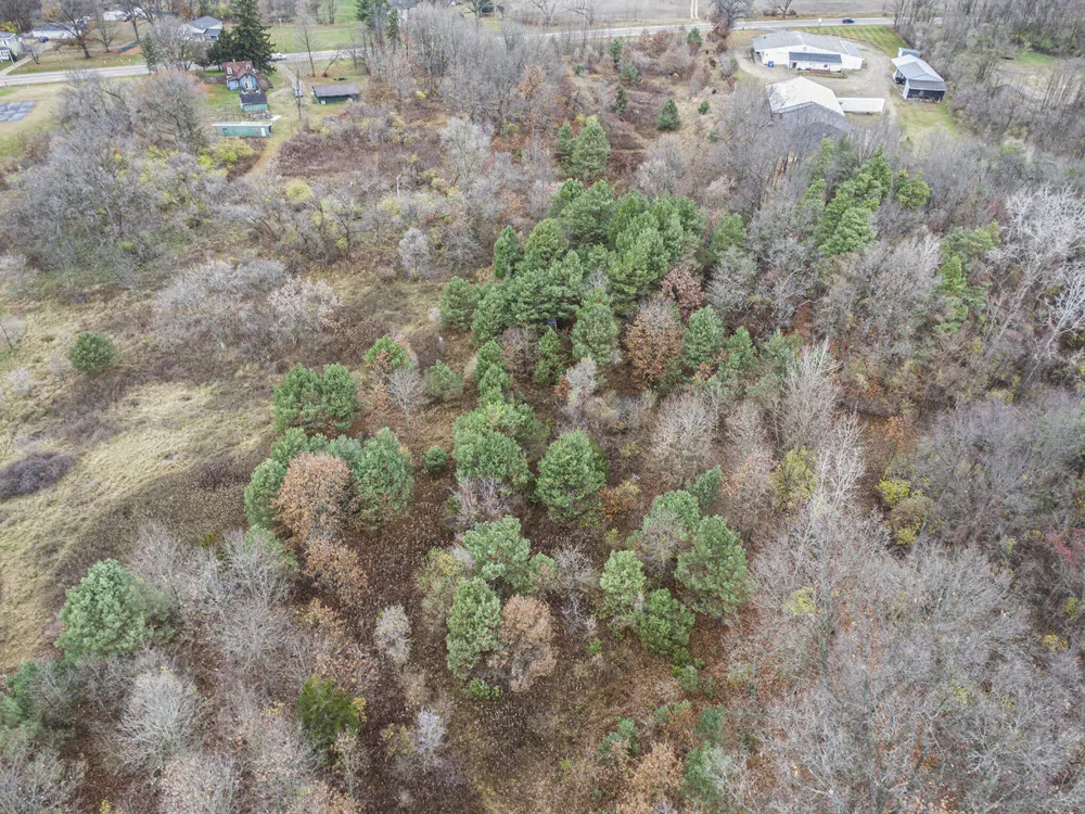V/L E Michigan Avenue Albion, MI 49224