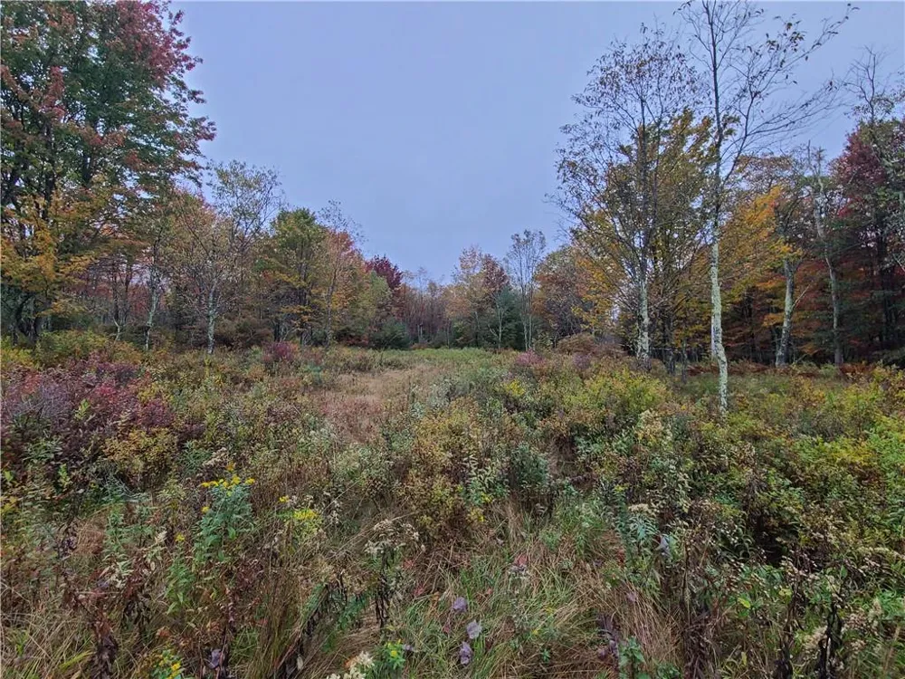116 Voss Road Claryville, NY 12725