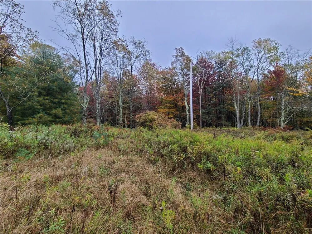 116 Voss Road Claryville, NY 12725