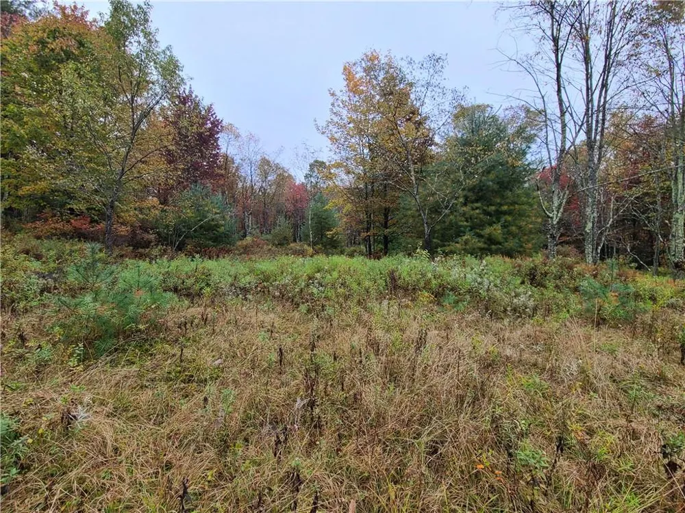 116 Voss Road Claryville, NY 12725